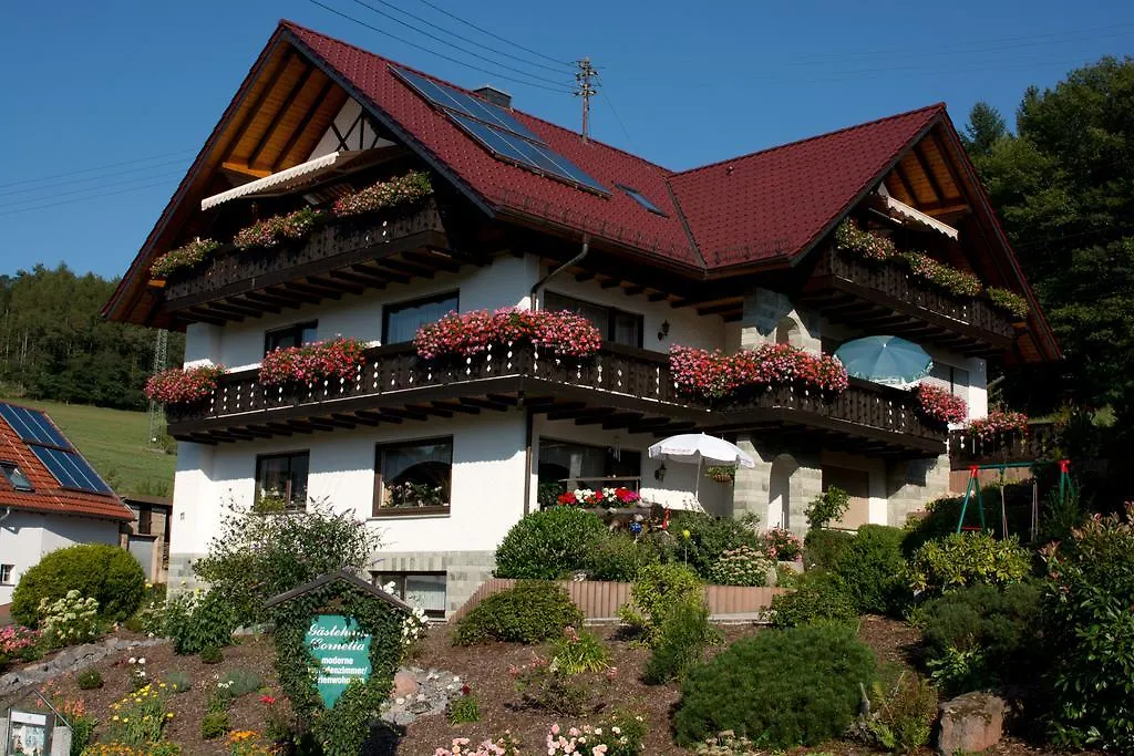 Gaestehaus Cornelia Wildensee